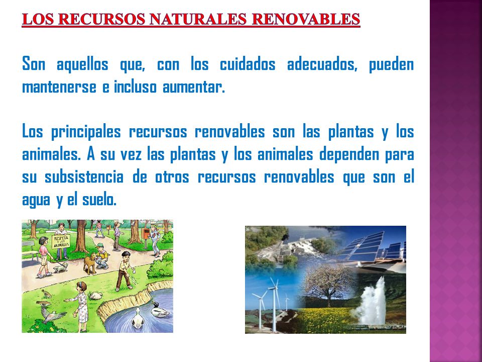 Los bosques son necesarios para preservar la ecología del planeta, pues son la base de todos los recursos naturales y de la vida. Los bosques también desempeñan un papel importante en la limpieza del .